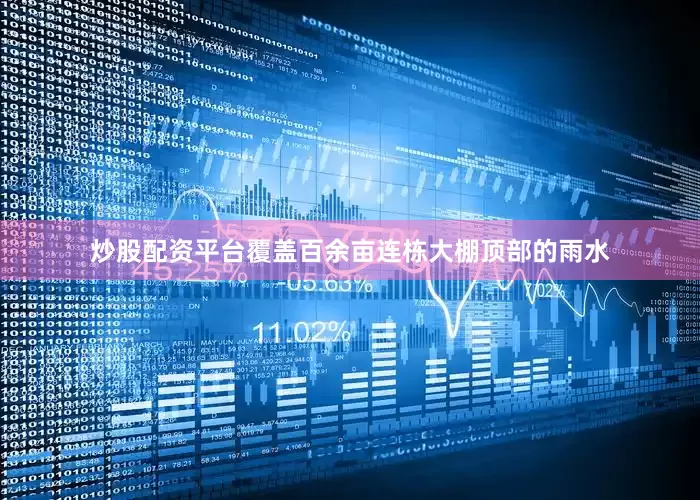炒股配资平台覆盖百余亩连栋大棚顶部的雨水